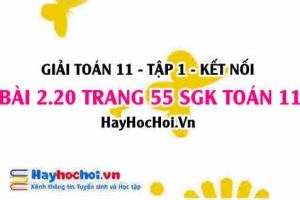 Giải bài 2.20 trang 55 Toán 11 tập 1 SGK Kết nối tri thức